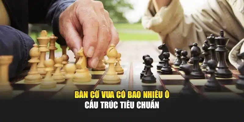 Bàn cờ vua có bao nhiêu ô - Cấu trúc tiêu chuẩn