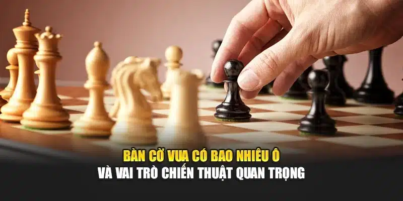 Bàn Cờ Vua Có Bao Nhiêu Ô Và Vai Trò Chiến Thuật Quan Trọng