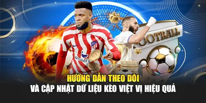 Hướng dẫn theo dõi và cập nhật dữ liệu kèo việt vị hiệu quả