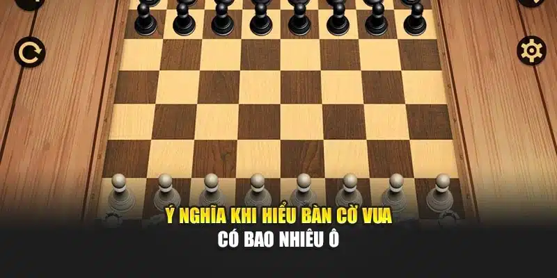 Ý nghĩa khi hiểu bàn cờ vua có bao nhiêu ô